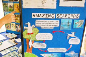 海鳥について学習できるブース